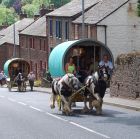 Picture from The Horses of Appleby Fair.