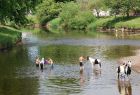 Picture from &#039;The Horses of Appleby Fair&#039;