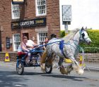 Picture fron The Horses of Appleby Fair.