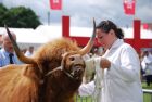 Picture from Spirit of Highland Cattle.