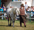 Picture from the book Spirit of the Highland Pony